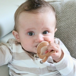 Set na krmení Fruit Feeder 4v1 Foxy