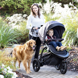 Sportovní kočárek Graco TrailRider