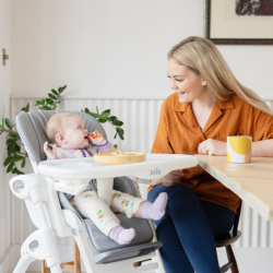 Joie mimzy™ recline 2025 artic