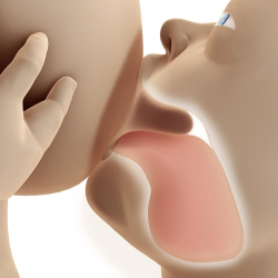  Medela Láhev pro kojené děti Calma™- 250 ml