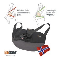 Be safe pregnant pás