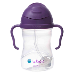 B box Sippy cup