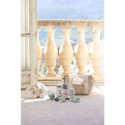 Suavinex dudlík Wonderland 0-6 m