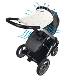 Dooky clona Dandelion